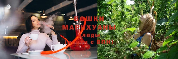 ПСИЛОЦИБИНОВЫЕ ГРИБЫ Михайловск