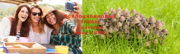 бошки Михайлов