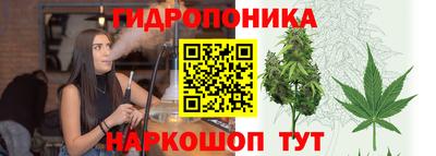 сатива Гагарин