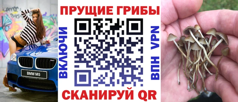 продажа наркотиков  Саки  Галлюциногенные грибы ЛСД 