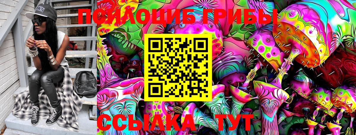 Псилоцибиновые грибы Psilocybe  Саки 